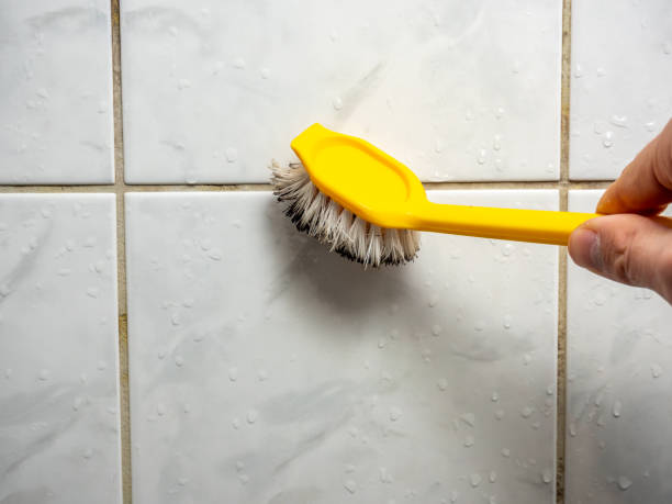 Best DIY Mold Remediation Support Services in Lusby, MD