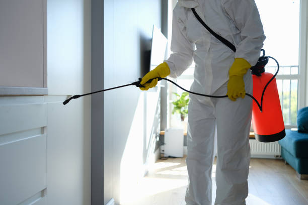 Best Insurance-Related Mold Remediation in Lusby, MD