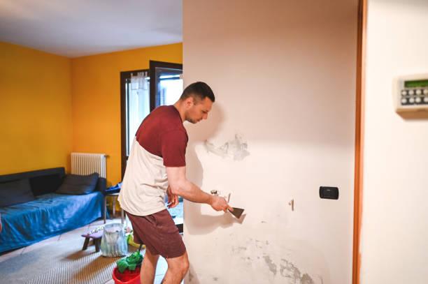 Best Emergency Mold Remediation in Lusby, MD