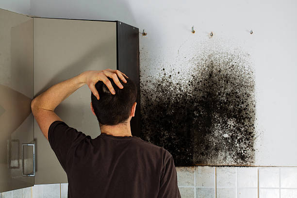 Best Bathroom Mold Remediation in Lusby, MD